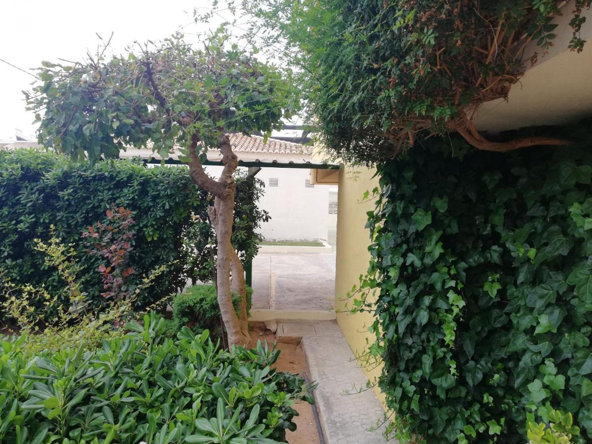 Xeracsol I Solo Familias Serviplaya Playa De Xeraco Dış mekan fotoğraf